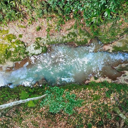 纳罗斯热带雨林消遣度假酒店 蒙特维尔 外观 照片