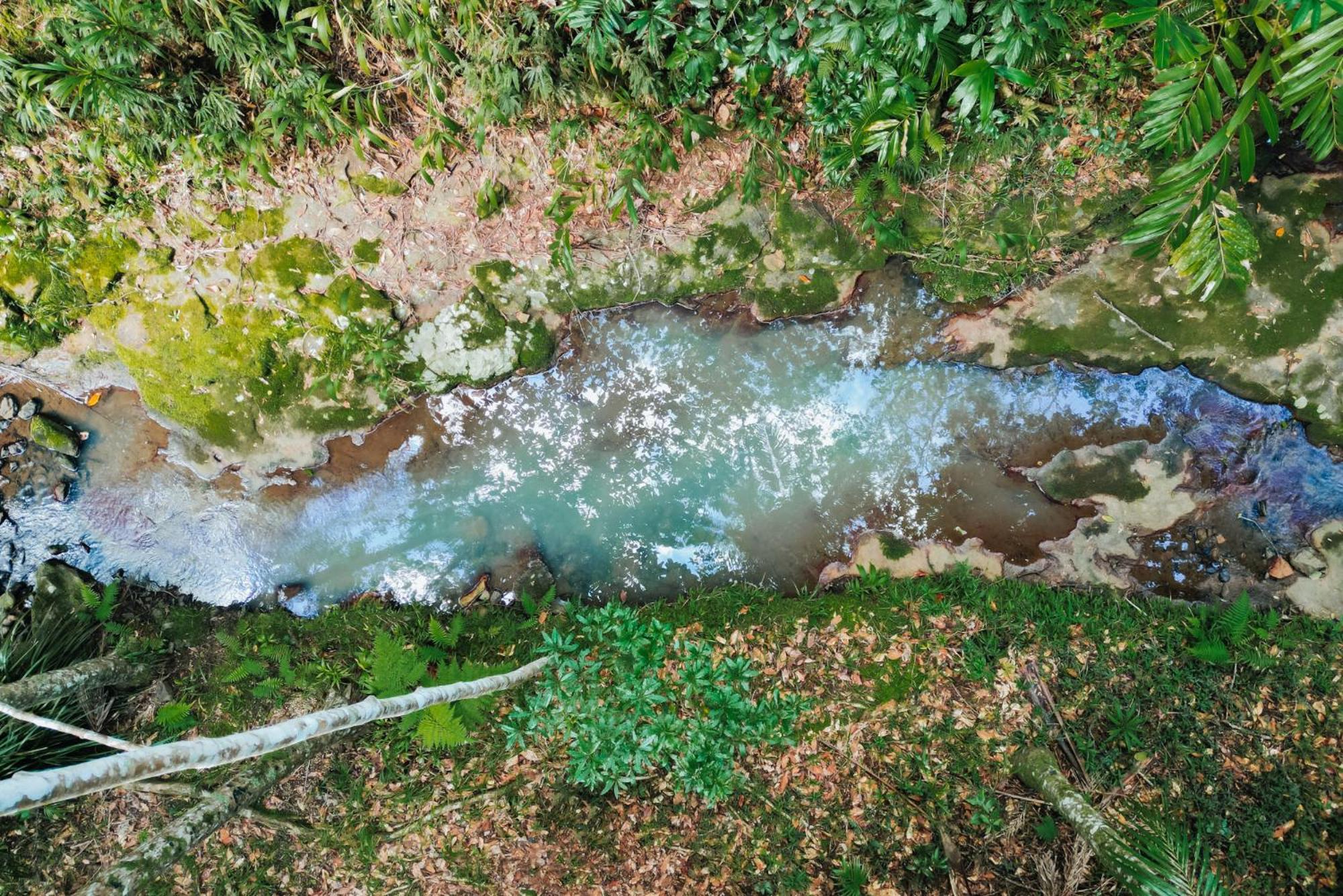 纳罗斯热带雨林消遣度假酒店 蒙特维尔 外观 照片